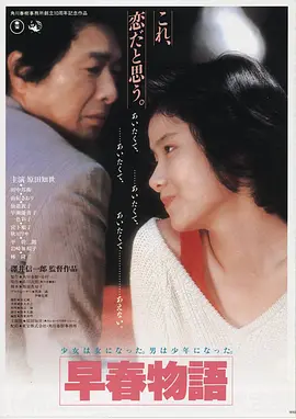 银盐纪事高清电影在线观看